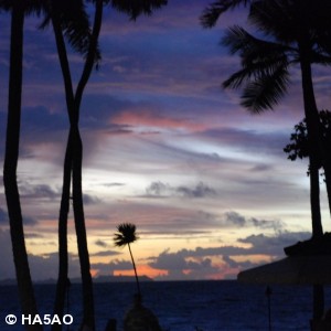 palau 2009 14 20100103 1649160294