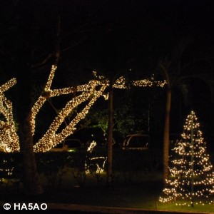 palau 2009 21 20100103 1250905532