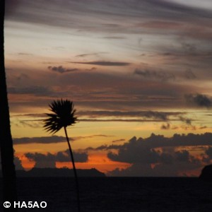 palau 2009 9 20100103 1914453114