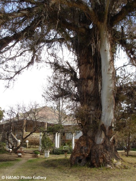 qth 9 20090821 1702965867