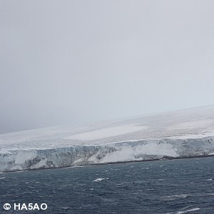 20180201 113024 008 01