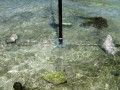 nauru 128