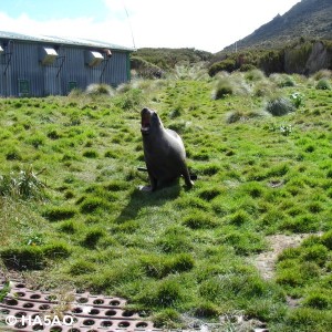 zl9hr 50 20121228 1207276491